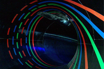 inside the black tube of the ride with red, blue, green stripes on the walls and pulsar LED light in an elogated black rubber casing on the top exterior of Black Hole Water Slide, Wet 'n Wild - Orlando, Florida, USA