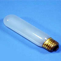 T10 40w 120v Frost E26 Lamp