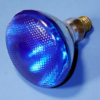 13948 Par38 100w 120v Blue E26 Lamp