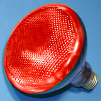 13933 Par38 100w 120v Red E26 Lamp
