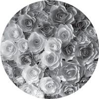 ROSCO:260-82844 -- 82844 Rose Bouquet Bw Glass Gobo, Size: Specify