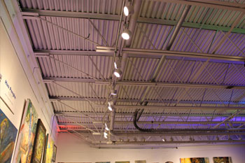 atco LED Track Lights shining on wall art inside the Grounded Gallery by Hao Penghe, St. Petersburg, Florida