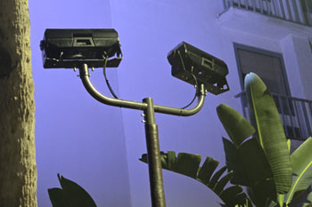 DVT Light PJ-5 RGBW Outdoor LED Wash Lights shining on Wyndham logo Wyndham I-Drive Avanti Resort & Conference Center, Orlando, Florida