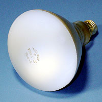 14847 BR40 100w 130v E26 Lamp