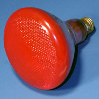 BR38 100w 120v Red E26 Lamp
