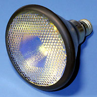 19464 Par38 150w 120v DicroAmber E26 Lamp