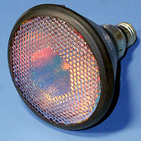 19468 Par38 150w 120v DicroRed E26 Lamp