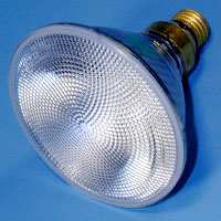 14591 Par38 45w 130v FL30 E26 Lamp