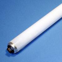 25322 Fluorescent 42w T12 30