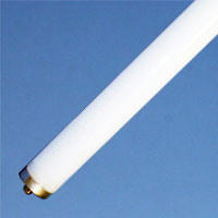 23085 Fluorescent 50w 64