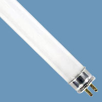 10032 F6/T5 Fluorescent 9