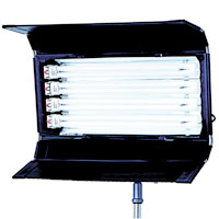 PowerFlo 4x55w with DMX/Local dimming 120v-230v - for use F55BXCIN32 or 56 lamps - no plug