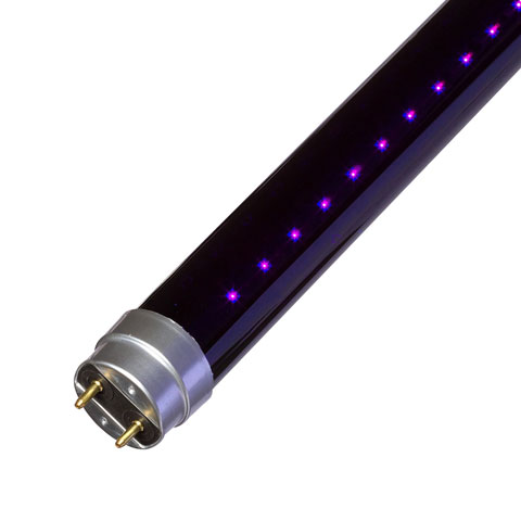 WILDFIRE: 142-003 L9T8/BLB T8 9W UV365 24in G13 SableLED LED