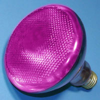 BR38 100w 120v Pink E26 Lamp