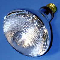 Par38 150w 230v FL MedScr Lamp