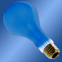 1000264 EBW 500w 120v E26 Lamp