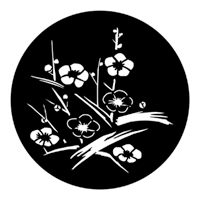 ROSCO:250-71031 -- 71031 Japanese Flowers Steel Metal Gobo, Size: Specify