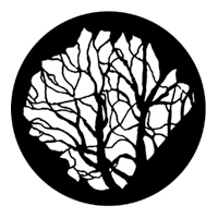ROSCO:250-77110 -- 77110 Tree 6 Steel Metal Gobo, Size: Specify
