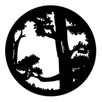 ROSCO:250-77205 -- 77205 Forest Top Steel Metal Gobo By Paul Sweeney, Size: Specify