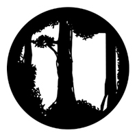 ROSCO:250-77206 -- 77206 Forest Floor Steel Metal Gobo By Paul Sweeney, Size: Specify