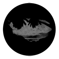 ROSCO:250-77609 -- 77609 Meshed Palm Steel Metal Gobo, Size: Specify