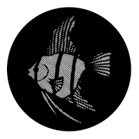 ROSCO:250-77612 -- 77612 Meshed Angel Fish Steel Metal Gobo, Size: Specify
