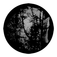 ROSCO:250-77840 -- 77840 Meshed Woodlands Steel Metal Gobo, Size: Specify