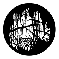 ROSCO:250-77862 -- 77862 Spooky Wood Steel Metal Gobo, Size: Specify