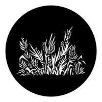 ROSCO:250-78039 -- 78039 Grasses Steel Metal Gobo, Size: Specify
