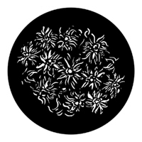 ROSCO:250-78178 -- 78178 Floral 6 Steel Metal Gobo, Size: Specify