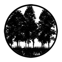 ROSCO:250-78432 -- 78432 Tree Silouhette 2 Steel Metal Gobo By David Sumner, Size: Specify