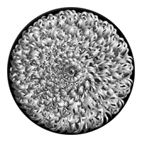 ROSCO:260-82707 -- 82707 Rhapsody Bw Glass Gobo, Size: Specify