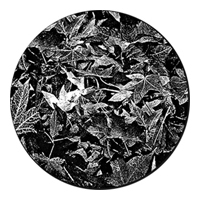 ROSCO:260-82732 -- 82732 Leaves Breakup Bw Glass Gobo, Size: Specify