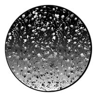 ROSCO:260-82750 -- 82750 Organic Bubbles Bw Glass Gobo, Size: Specify