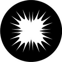 ROSCO:260-82854 -- 82854 Plaster Bw Glass Gobo, Size: Specify