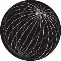 ROSCO:260-82868 -- 82868 Swarm Bw Glass Gobo, Size: Specify