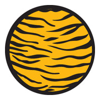 ROSCO:260-84433 -- 84433 Tiger Print Breakup 1 2 Color  Glass Gobo, Size: Specify