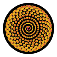 ROSCO:260-86644 -- 86644 Spiral Bling Multi Color Glass Gobo By Ken Michaels, Size: Specify
