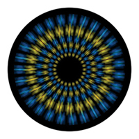 ROSCO:260-86651 -- 86651 Flower Focus Multi Color Glass Gobo By Ken Michaels, Size: Specify