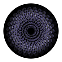 ROSCO:260-86652 -- 86652 Peacock Sprocket Multi Color Glass Gobo By Ken Michaels, Size: Specify