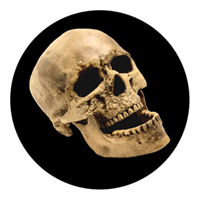 ROSCO:260-86686 -- 86686 Laughing Skull Multi Color Glass Gobo By Kc Hooper, Size: Specify