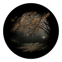 ROSCO:260-86703 -- 86703 Autumn Glade Multi Color Glass Gobo By Lisa Cuscuna, Size: Specify