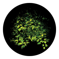 ROSCO:260-86705 -- 86705 Spring Bower Multi Color Glass Gobo By Lisa Cuscuna, Size: Specify