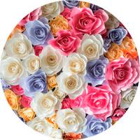 ROSCO:260-86770 -- 86770 Bright Colors Rose Bouquet Multi Color Glass Gobo, Size: Specify