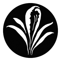 GAM:250-G841 -- G841 Large Blossom Steel Metal Gobo, Size: Specify