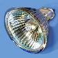 54206 FNV 50w 12v MR16 60deg GX5.3 Lamp