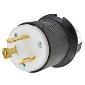 HBL2621 Twistlock 2Pole/3wire 30a 250v Male Plug Black/White