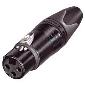 NC3FXX-B XLR Cable End XX Series 3 pin Female - black/gold