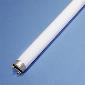 21890 Fluorescent 32w 3000K T8 Medbipin Lamp