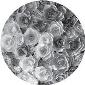 ROSCO:260-82844 -- 82844 Rose Bouquet Bw Glass Gobo, Size: Specify